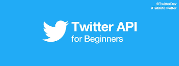 Setting Api bot twitter